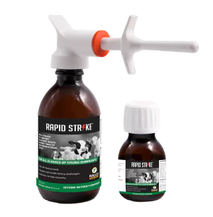 Rapid Strike 60 ml and 250 ml bottle