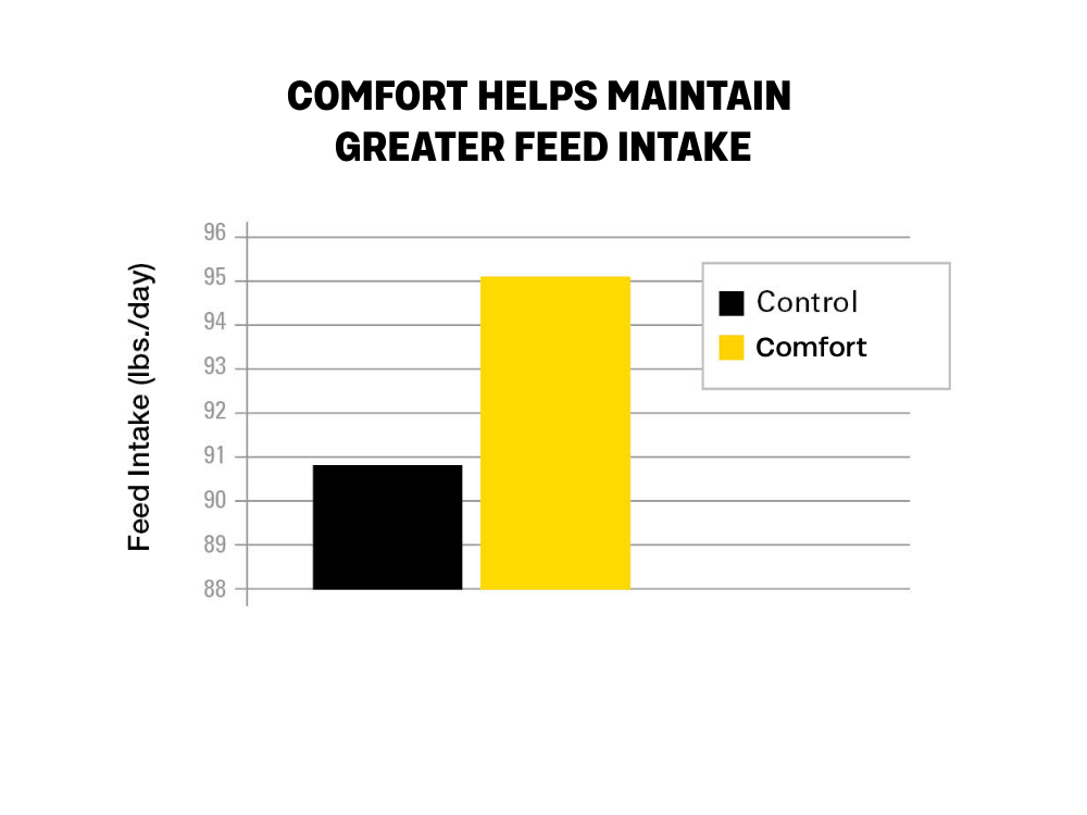 Feed Intake Chart