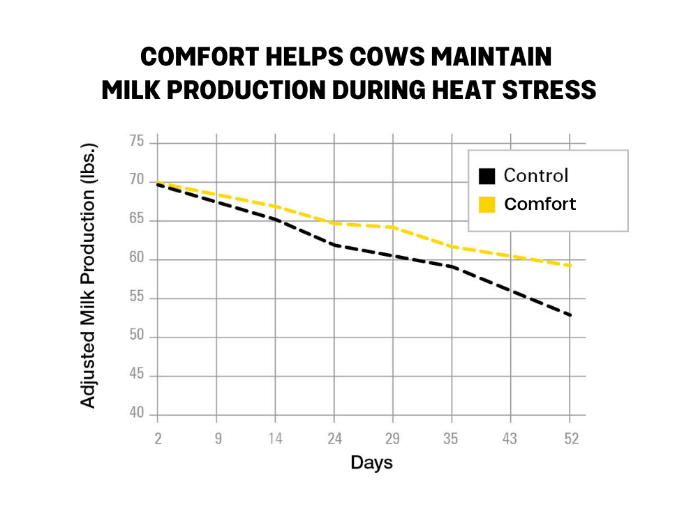 Milk Production Chart
