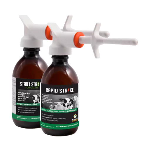 Start Strong for Calves 250 ml bottle & Rapid Strike 250 ml bottle